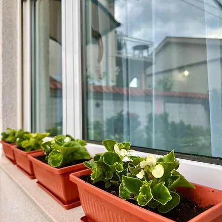 Amora - Free Parking Mostar