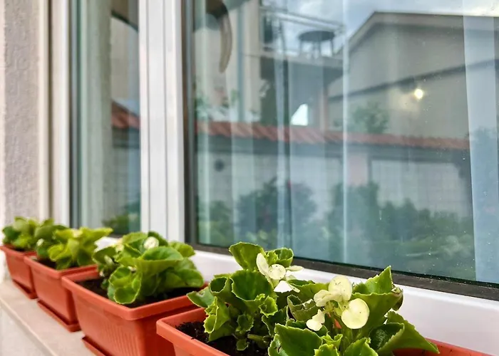 Amora - Free Parking Mostar