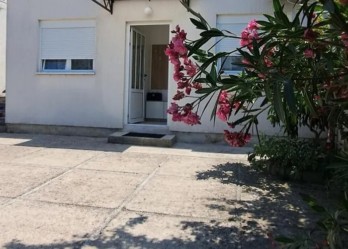 Amora - Free Parking