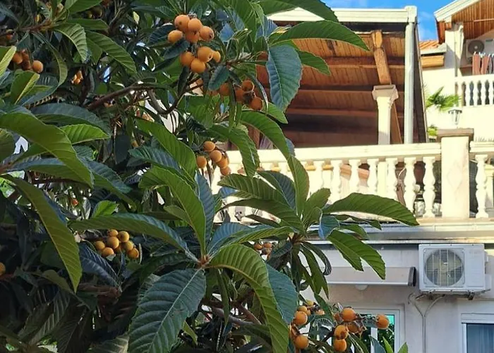 Amora - Free Parking * Mostar